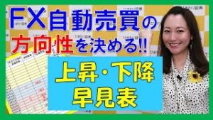 【FX初心者向け】ループ・イフダンB120(EUR/JPY)運用で着実に利益獲得中！～ループ・イフダンの仕組み～★ひまわりFX Eveningチョイス200609（アナウンサー：松本実優）