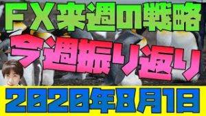 トライオートFX 改悪で大炎上 スノーキーの今週の株・為替材料振り返り 来週のFX戦略 2020年8月1日