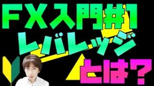 FX初心者入門#1 レバレッジとは？