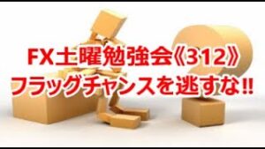 FX土曜勉強会《312》フラッグチャンスを逃すな‼