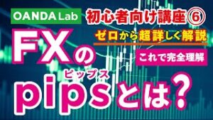 【FX入門講座⑥】FXのpipsとは？取引単位の基礎知識や計算方法について解説