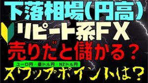 トラリピなどリピート系FX自動売買 円高でユーロ円売り等は儲かるのか？スワップポイントは？2025年